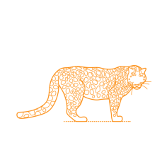 Animals Big Cats Jaguar Stencil Svg Vector, Free Vectors File